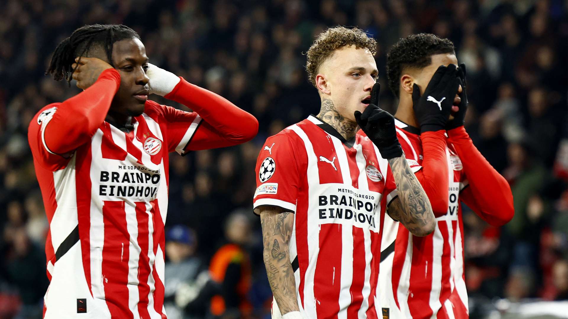 保在引进罗 保在引进罗